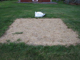 Lawn Reseeding