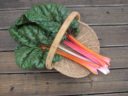 Swiss chard